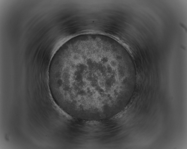 X0000092331239200710051309
