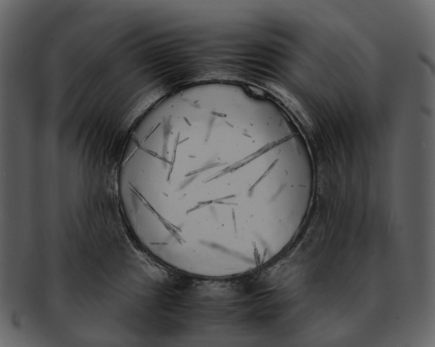 X0000092331241200710051309