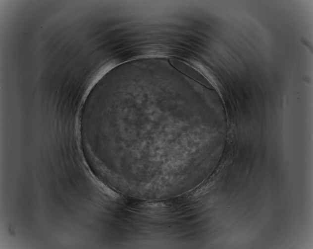 X0000092331243200710051309