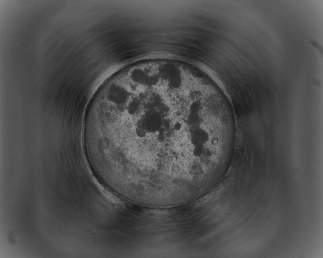 X0000092331245200710051309