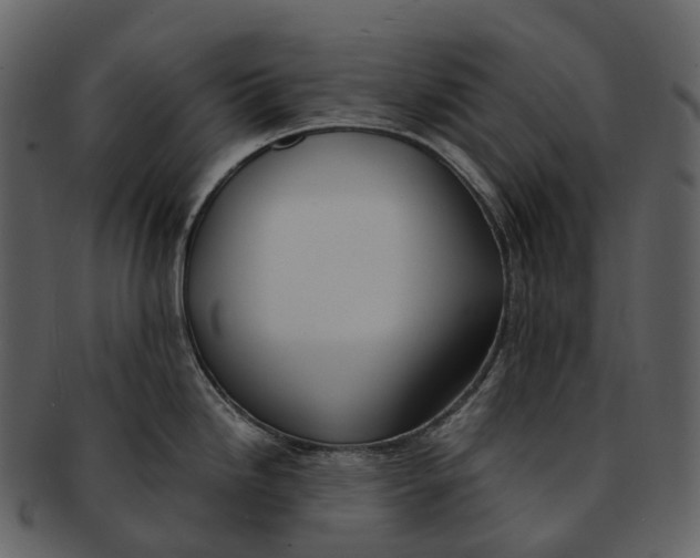 X0000092331246200710051309