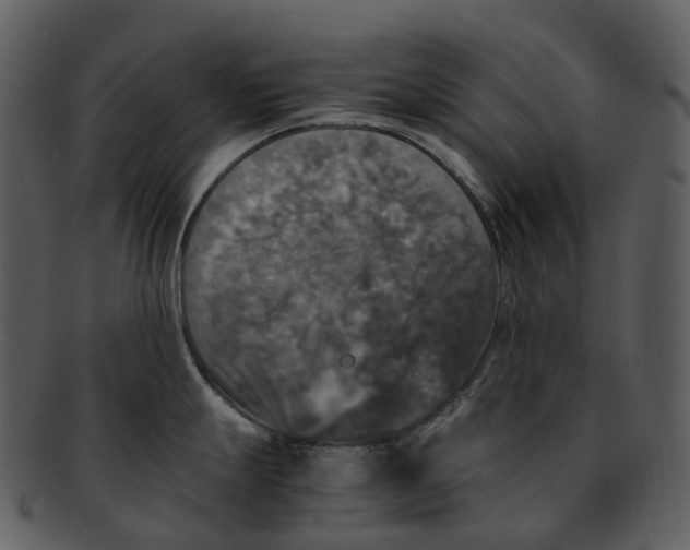 X0000092331247200710051309