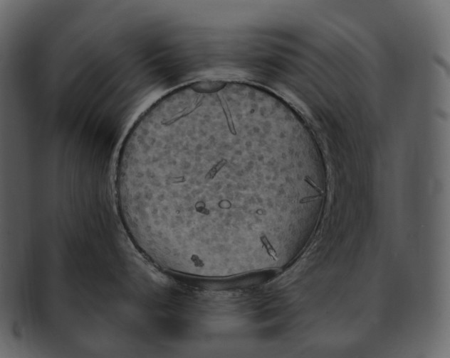 X0000092331248200710051309