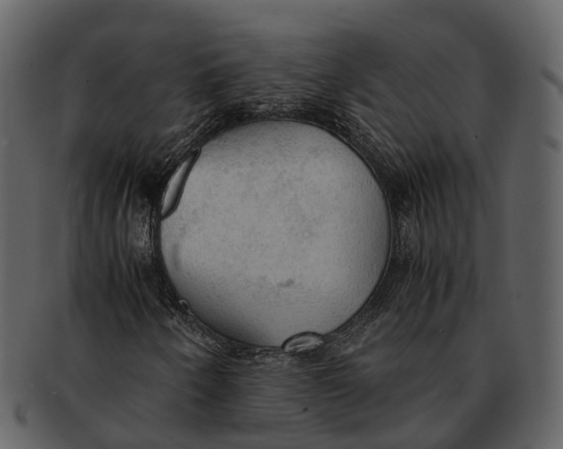 X0000092331250200710051308