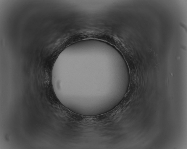 X0000092331253200710051308