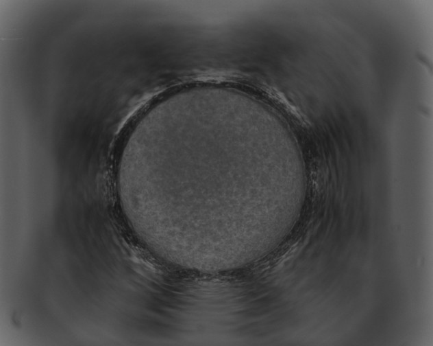 X0000092331256200710051308