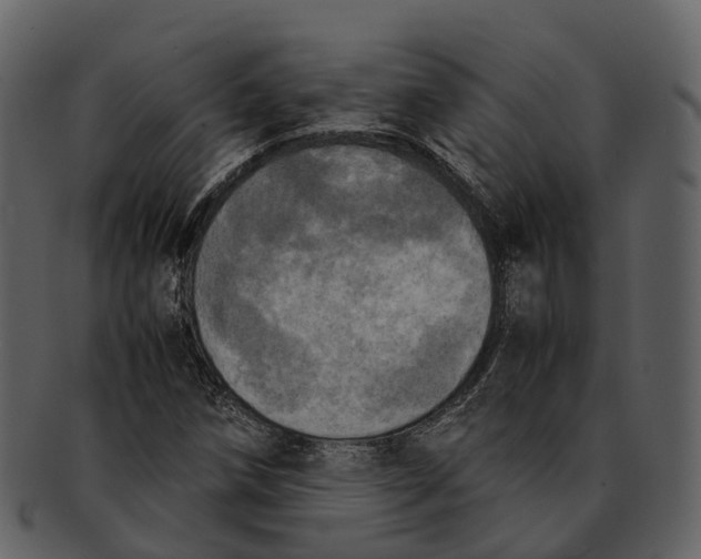 X0000092331258200710051308