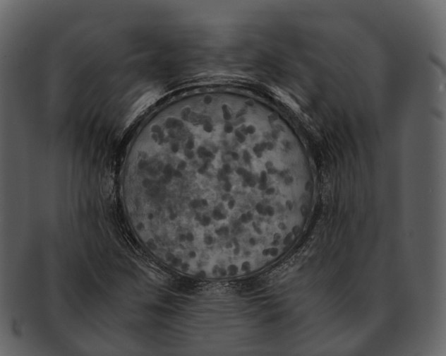 X0000092331259200710051308