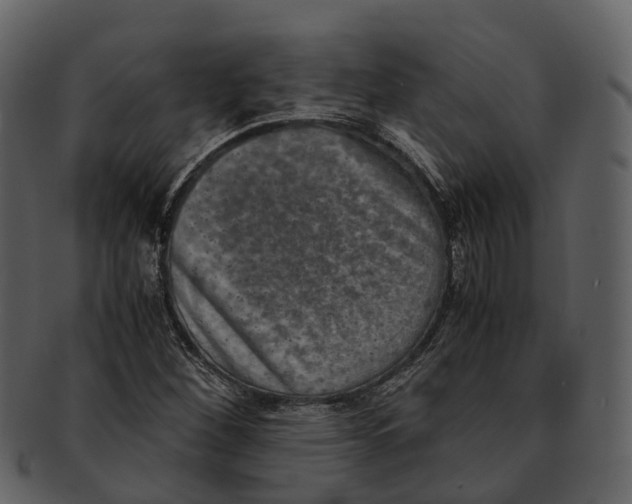 X0000092331260200710051308
