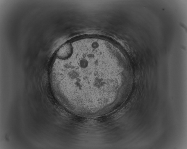 X0000092331263200710051308