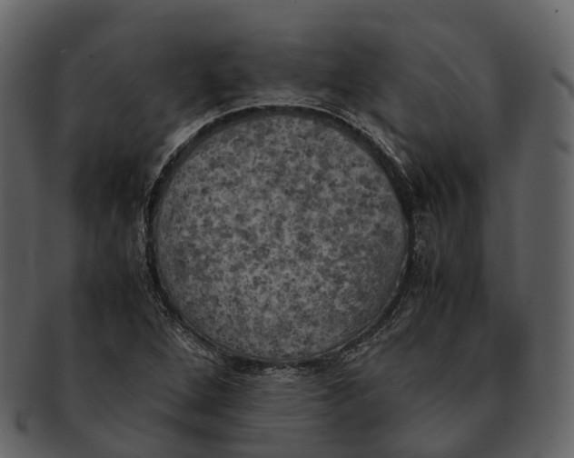 X0000092331264200710051308