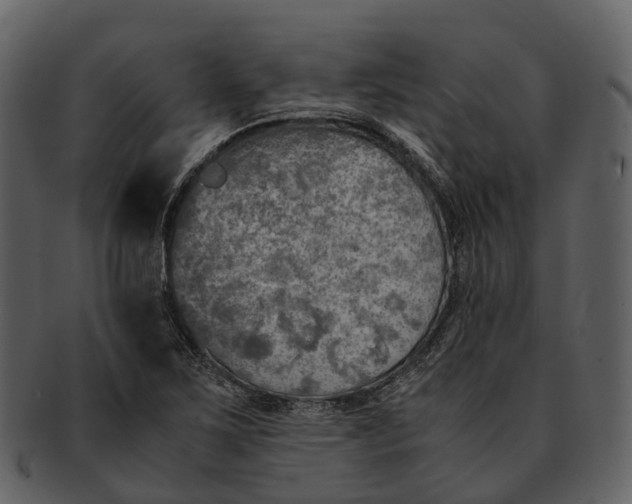 X0000092331267200710051308