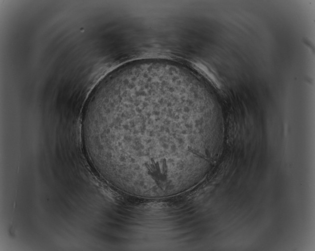 X0000092331268200710051308