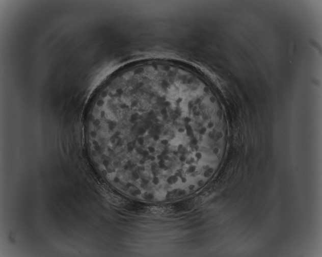 X0000092331271200710051308