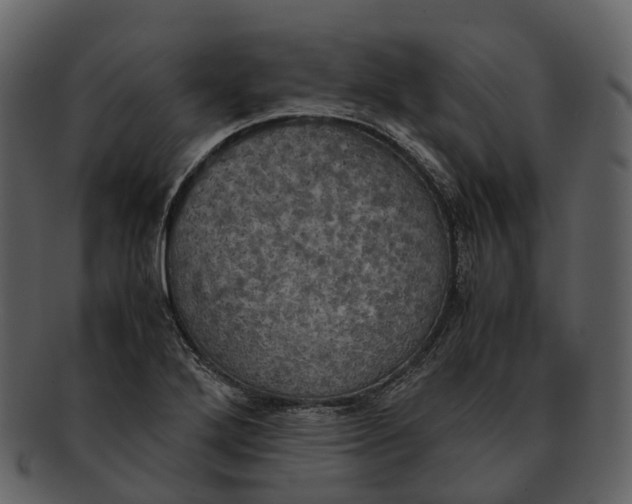 X0000092331272200710051308