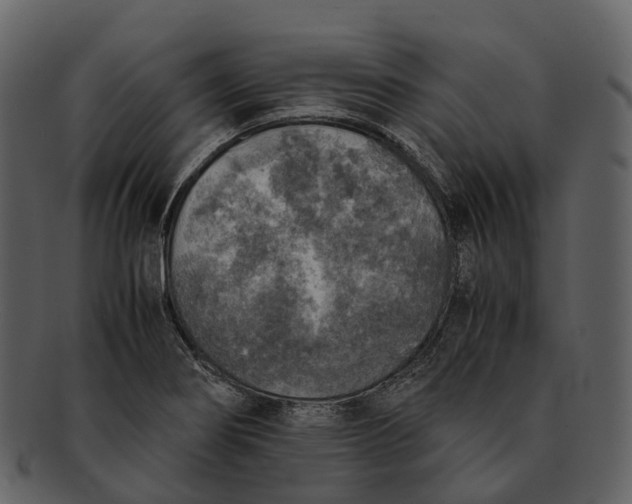 X0000092331274200710051308