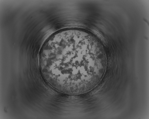 X0000092331275200710051308