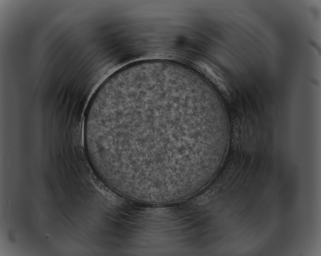 X0000092331276200710051308