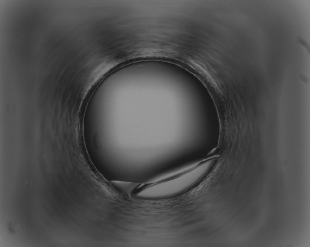 X0000092331277200710051308