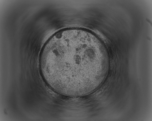 X0000092331279200710051308