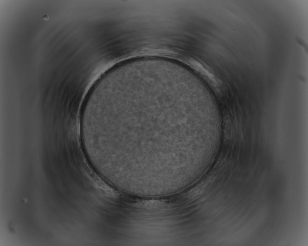 X0000092331280200710051308