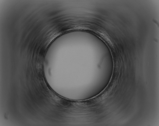 X0000092331281200710051308