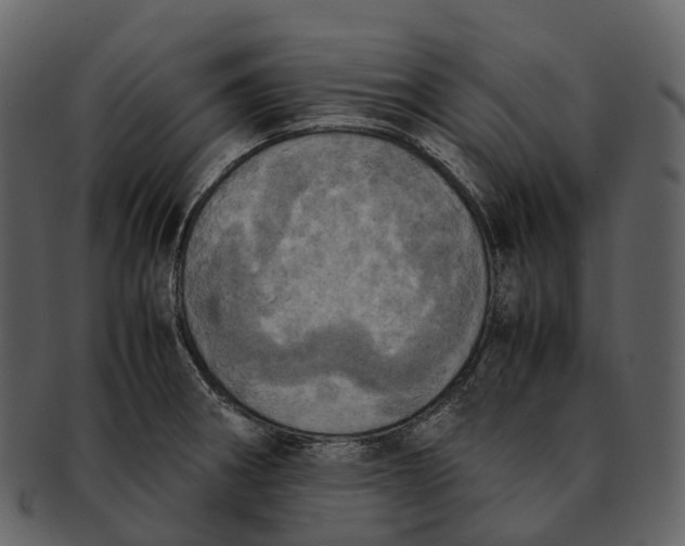 X0000092331282200710051308