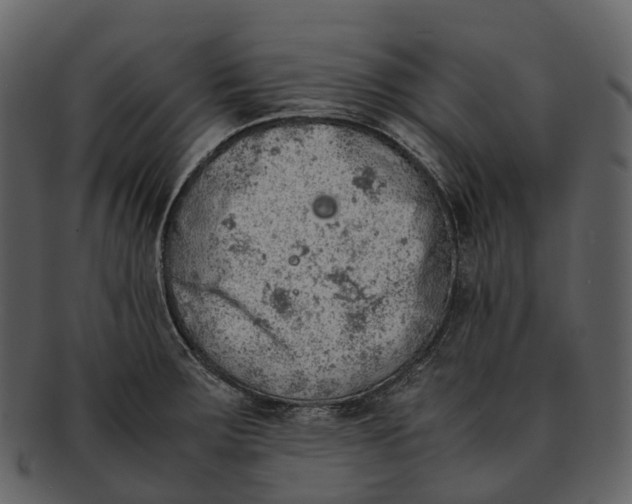 X0000092331283200710051308
