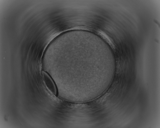 X0000092331284200710051308