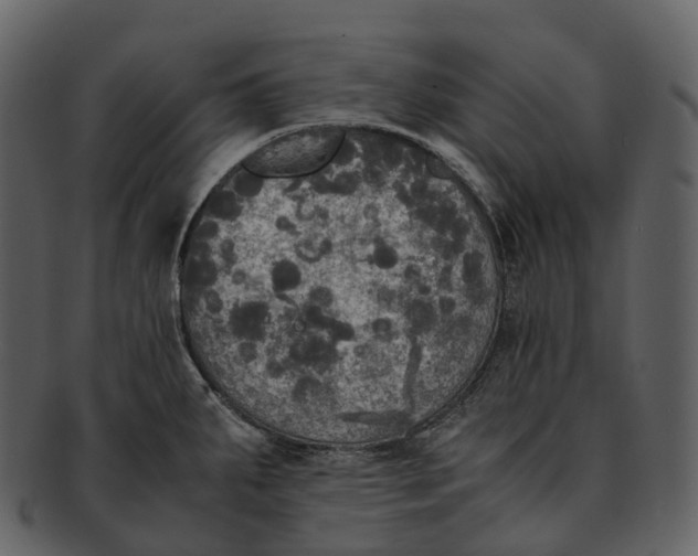 X0000092331287200710051308