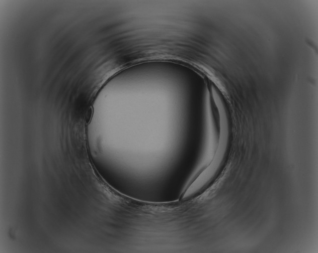 X0000092331289200710051308