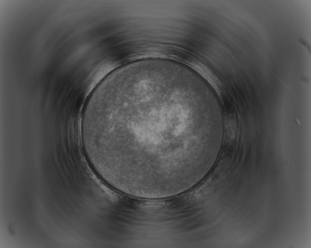 X0000092331290200710051308