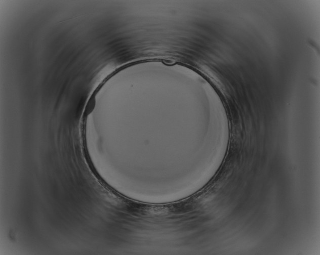 X0000092331291200710051308