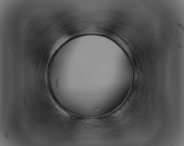 X0000092331293200710051308