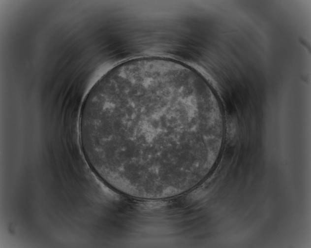 X0000092331294200710051308