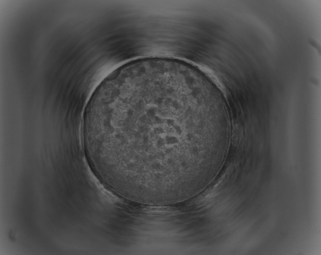 X0000092331295200710051308