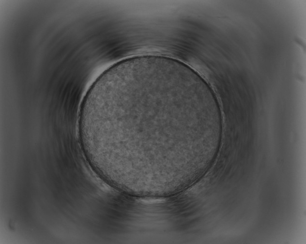 X0000092331296200710051308