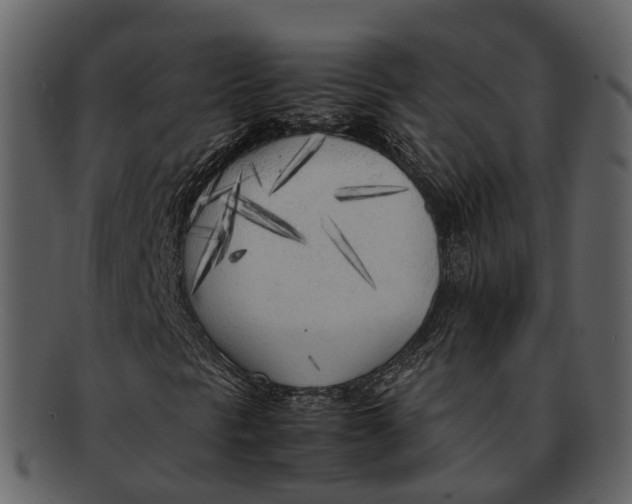 X0000092331297200710051307