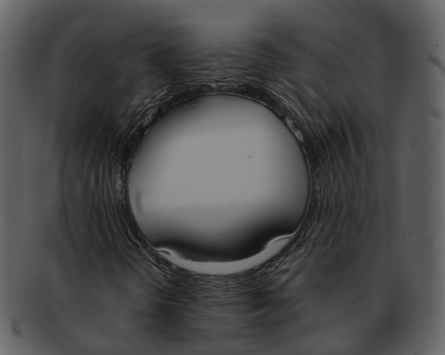 X0000092331298200710051307