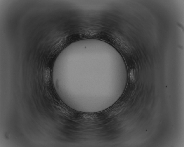 X0000092331299200710051307