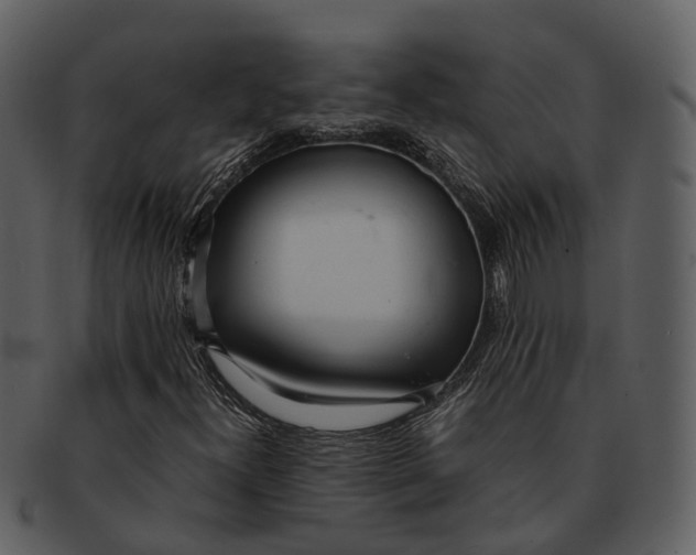X0000092331300200710051307