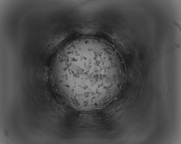 X0000092331301200710051307