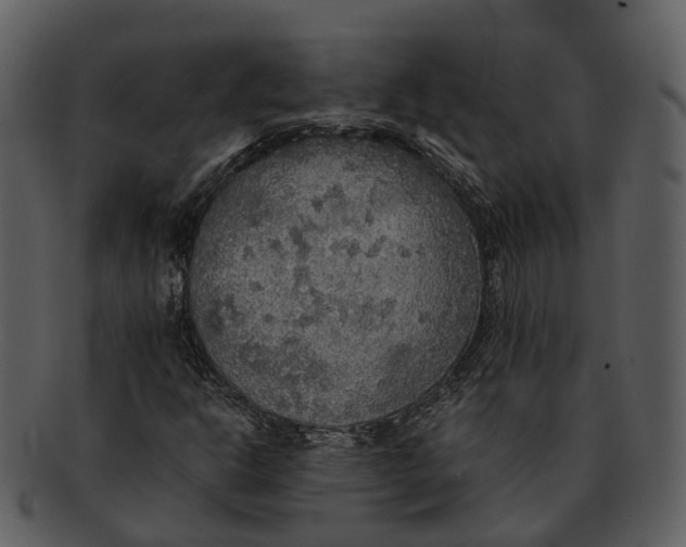 X0000092331302200710051307