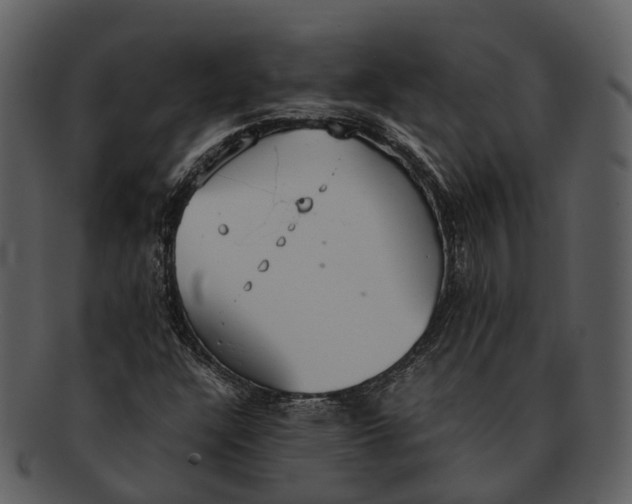 X0000092331304200710051307
