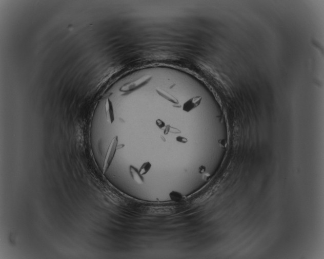 X0000092331305200710051307