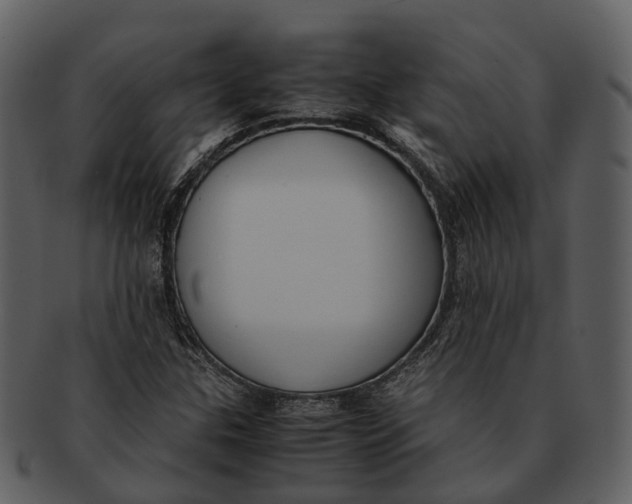 X0000092331307200710051307