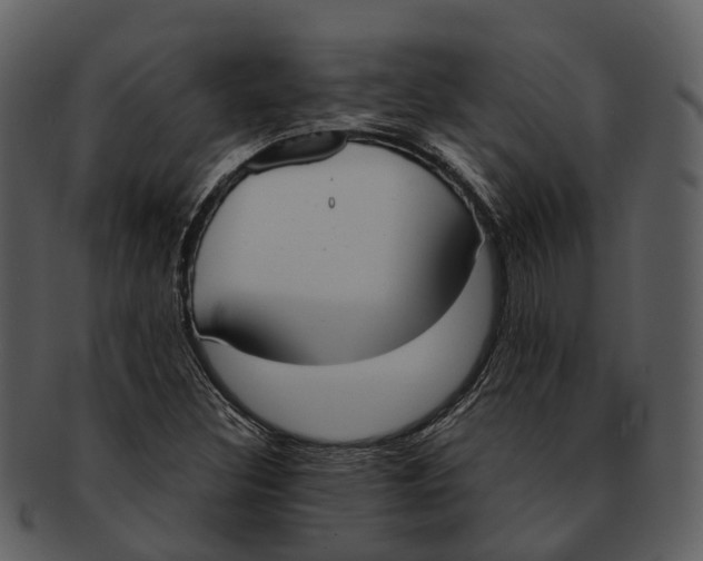 X0000092331308200710051307