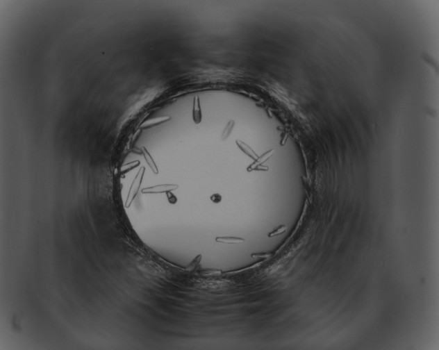 X0000092331309200710051307