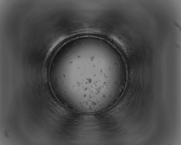 X0000092331310200710051307