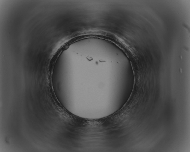 X0000092331312200710051307